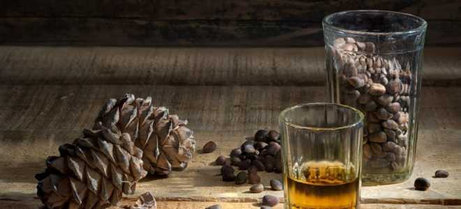 Настойка на кедровых орешках на водке: рецепт для домашних условий