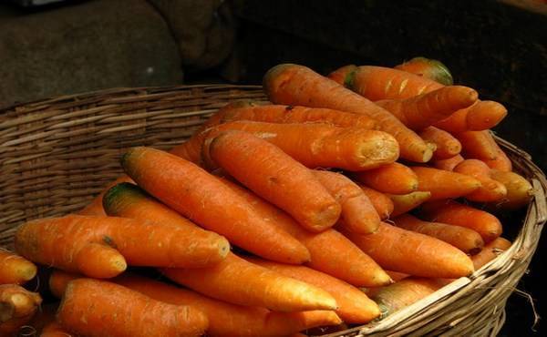 Как хранить морковь на зиму | хранение моркови
