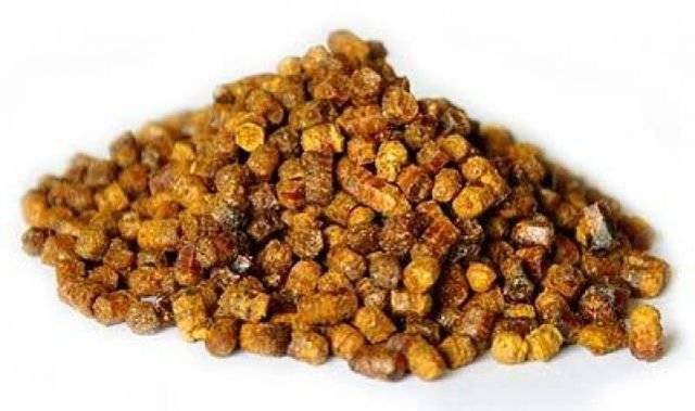 Как правильно хранить пчелиную пергу?