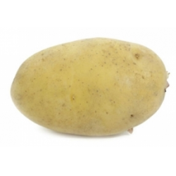 Описание лучших сортов картофеля для посадки: описание, советы