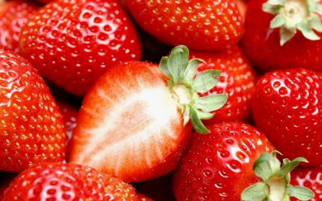 Домашняя чудо ягодница: правда или "на лоха". реальные отзывы и мнение специалиста