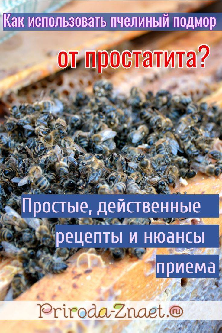 Как вылечить аденому простаты пчелиным подмором и другими пчелопродуктами