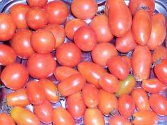 Сорт для вашей грядки — томат черри дачный f1: отзывы об урожайности, описание гибрида