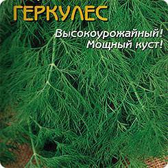 Лук "геркулес": описание характеристик. посадка, уход и выращивание репчатого сорта f1 из семян и севка (фото)