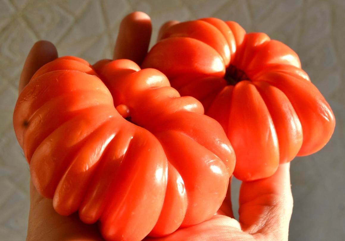 Японский краб – один из лучших салатных сортов помидоров