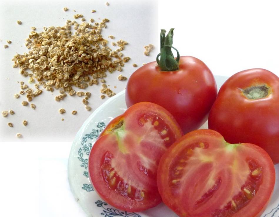 Как правильно собрать и сохранить семена помидоров для посадки