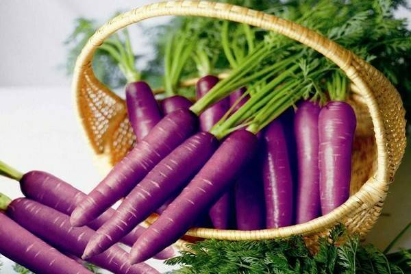 Полезна ли фиолетовая морковь? состав, польза и применение | пища это лекарство