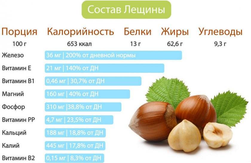 Орехи фундук — польза для мужчин и женщин