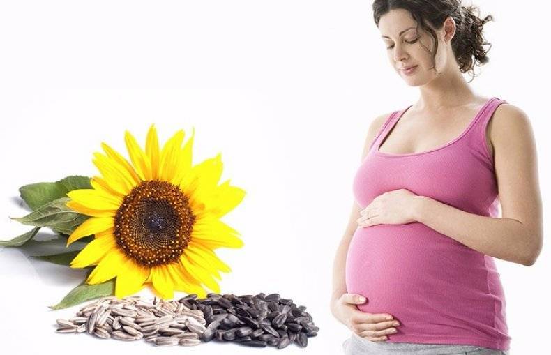 Семечки (тыквенные, подсолнуха, кунжутные, льняные) при беременности: польза и вред, можно ли грызть на ранних и поздних сроках