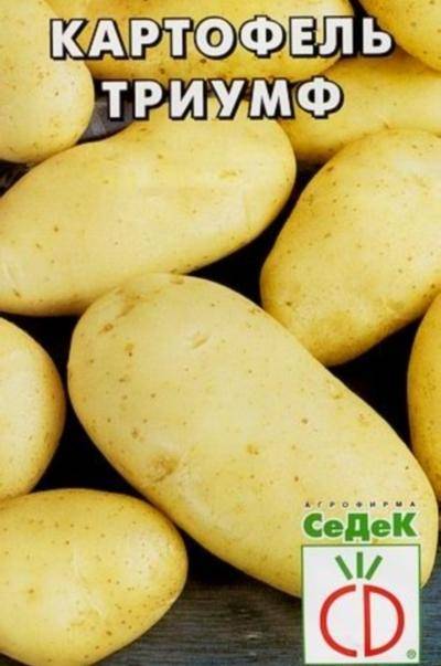 Сорт картофеля ред фэнтези: описание и характеристика, выращивание