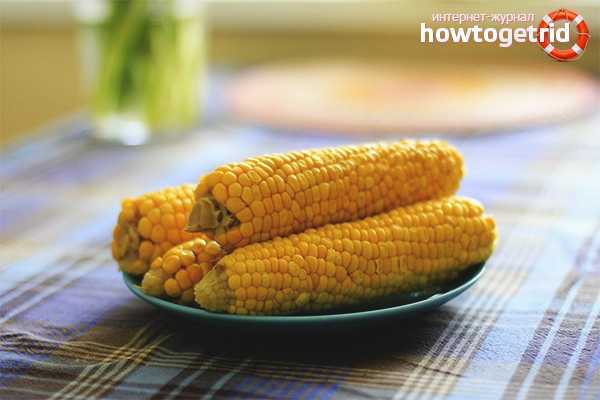 Кукуруза. польза и вред для здоровья вареной, консервированной, сырой, жареной
