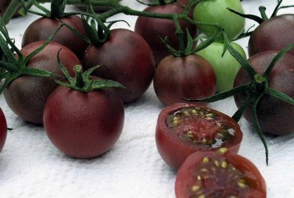 Описание и тонкости выращивания томата полосатый шоколад