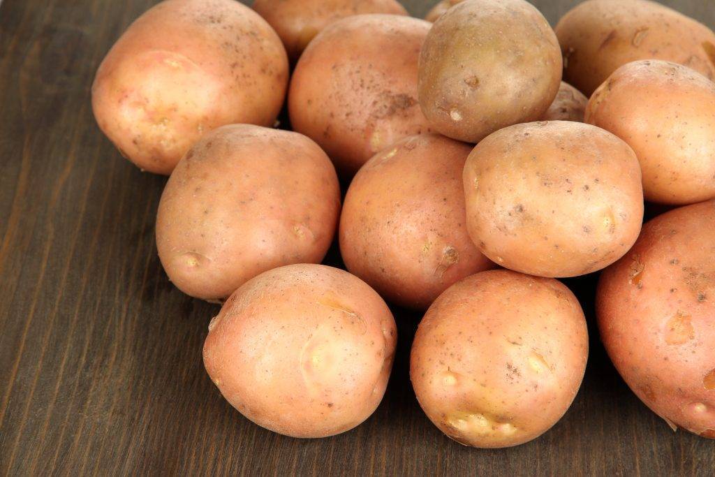 Картофель скарб: выдающийся сорт из белоруссии