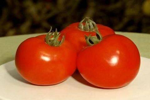 Выращиваем томат «полфаст f1» — описание сорта и секреты высокой урожайности