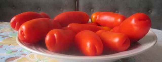Сорт томата «аурия»: описание, характеристика, посев на рассаду, подкормка, урожайность, фото, видео и самые распространенные болезни томатов