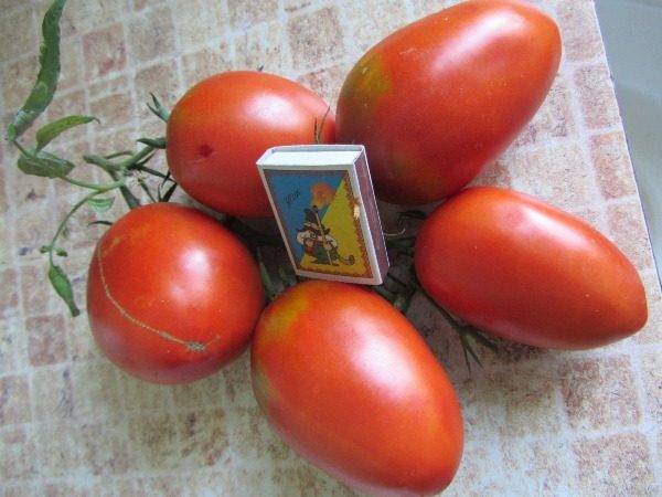 Томат "де барао розовый": характеристика и описание сорта, как выращивать помидоры