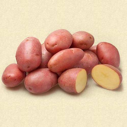 Картофель краса: описание сорта, фото, как сажать и ухаживать за корнеплодом?