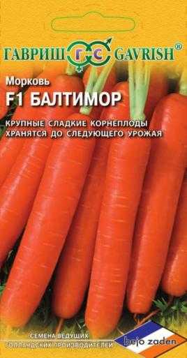 Морковь бангор f1