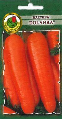 Лучшие сорта моркови для хранения на зиму