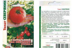 Рейтинг урожайных томатов: характеристика и описание сортов позано и василий, гармошка и шахерезада
