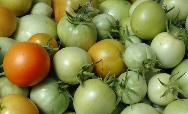 Как хранить зеленые помидоры, чтобы они покраснели и дольше лежали