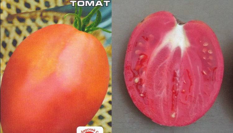 Томат "кумир": описание сорта, особенности выращивания помидоров, борьба с вредителями