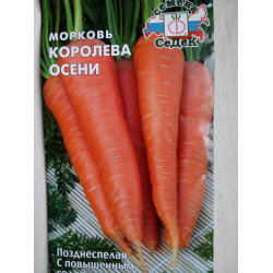 Морковь королева осени: описание позднего сорта с отзывами и фото