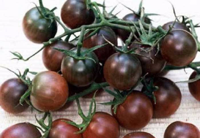 Лучшие сорта томатов черри для теплиц: помидор выращивание и семена