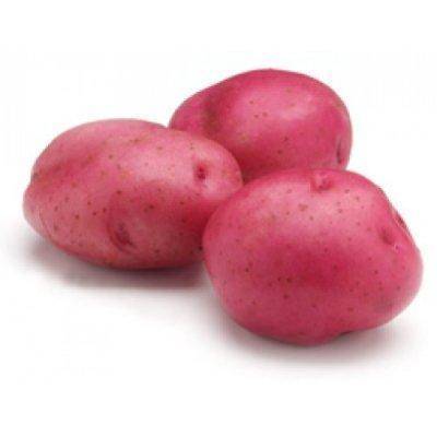 Особенности сорта картофеля «романо»: характеристика, посадка и уход