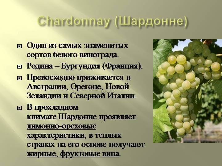 Цоликаури — грузинский белый сорт винограда