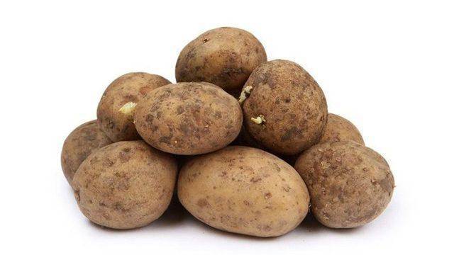 Айл оф джура: описание сорта картофеля, характеристики, агротехника