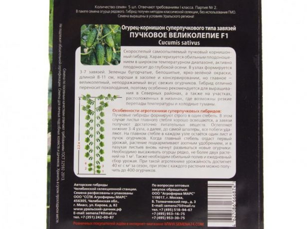 Особенности сорта огурцов «пучковое великолепие f1» и рекомендации по выращиванию