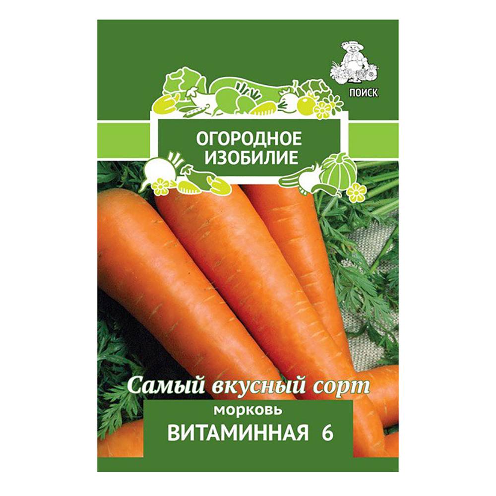 Сорт моркови витаминная 6