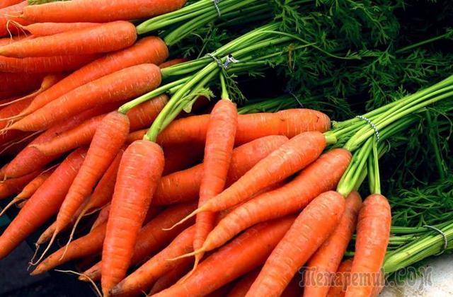 Сохраняем морковь на зиму в холодильнике