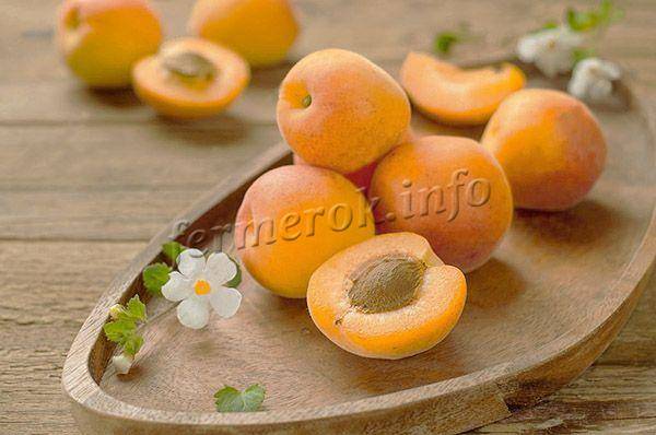 Сорт абрикоса царский