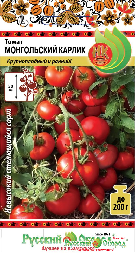 Характеристика и описание сорта томата монгольский карлик, его выращивание и урожайность