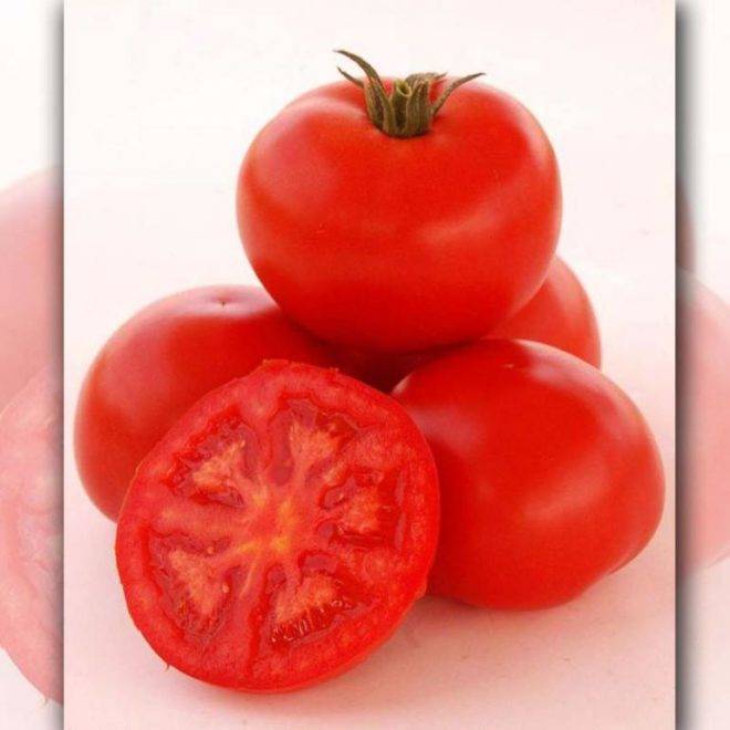 Комнатный сорт помидора «линда»: фото, видео, отзывы, описание, характеристика, урожайность