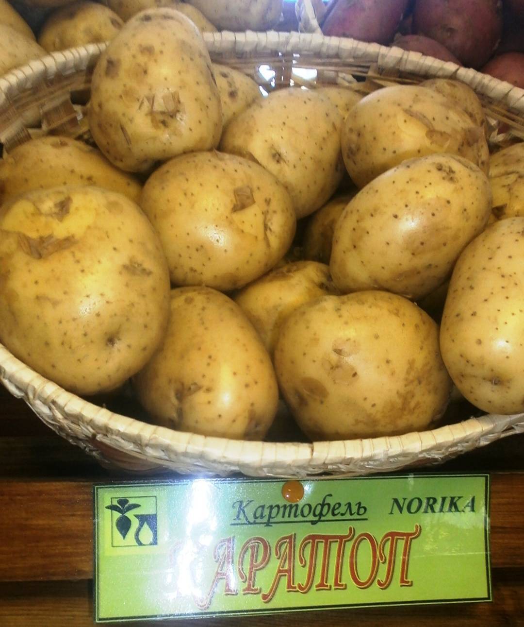 Описание сорта картофеля гулливер, особенности выращивание и урожайность