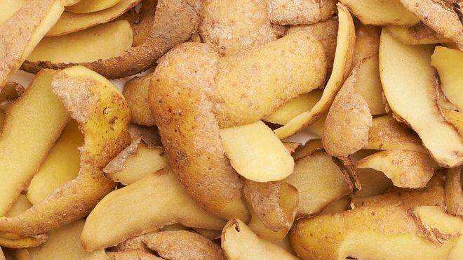 Лучшее удобрение для смородины: картофельные очистки