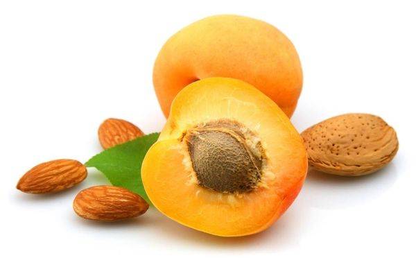 Особенности употребления абрикосовых косточек