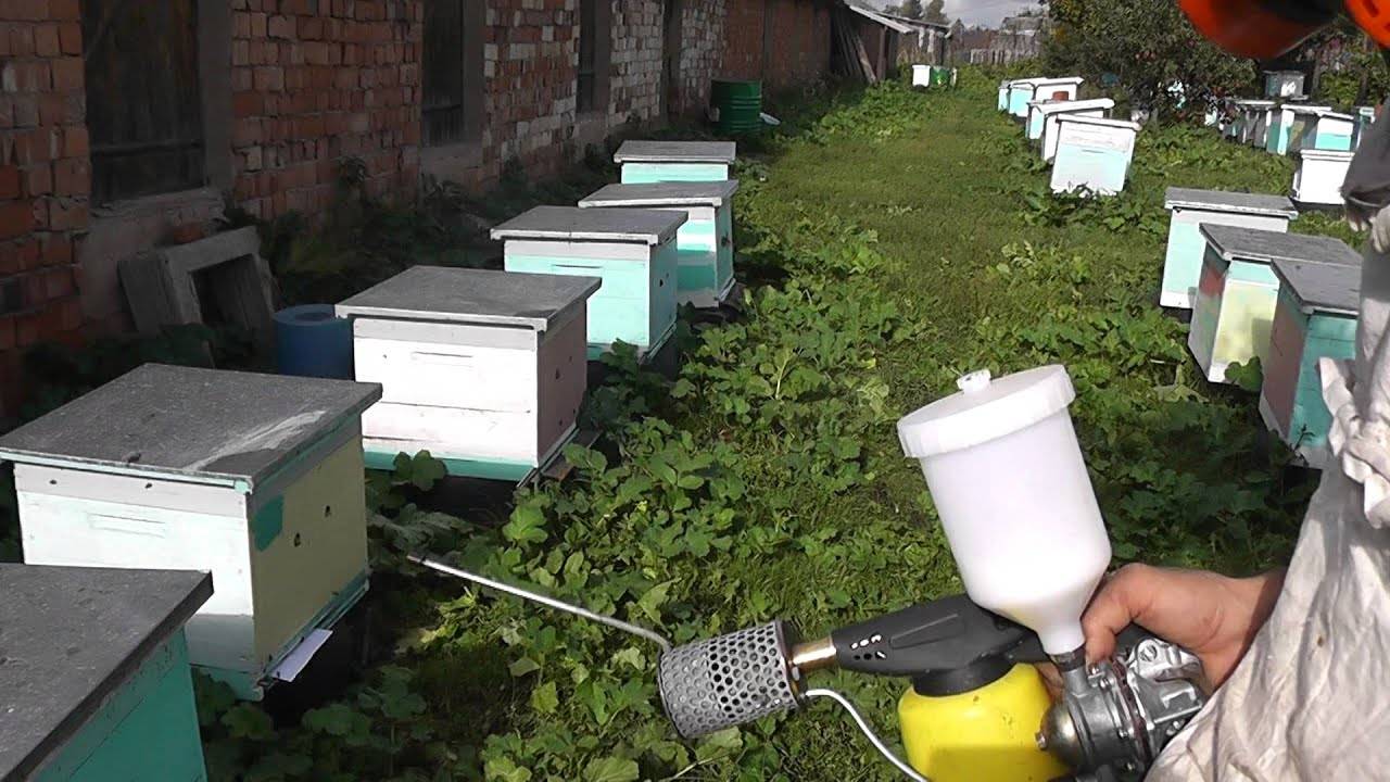Бипин для пчёл. инструкция по применению, методы обработки, фото и видео