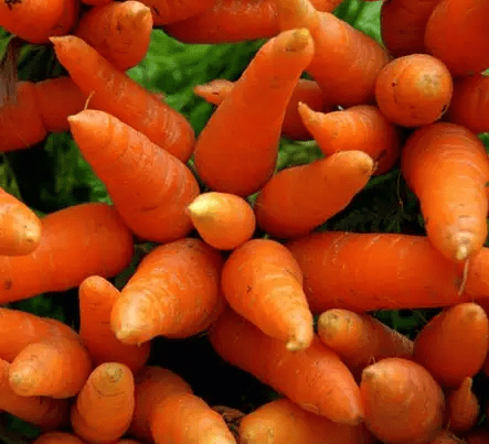 Морковь Лакомка