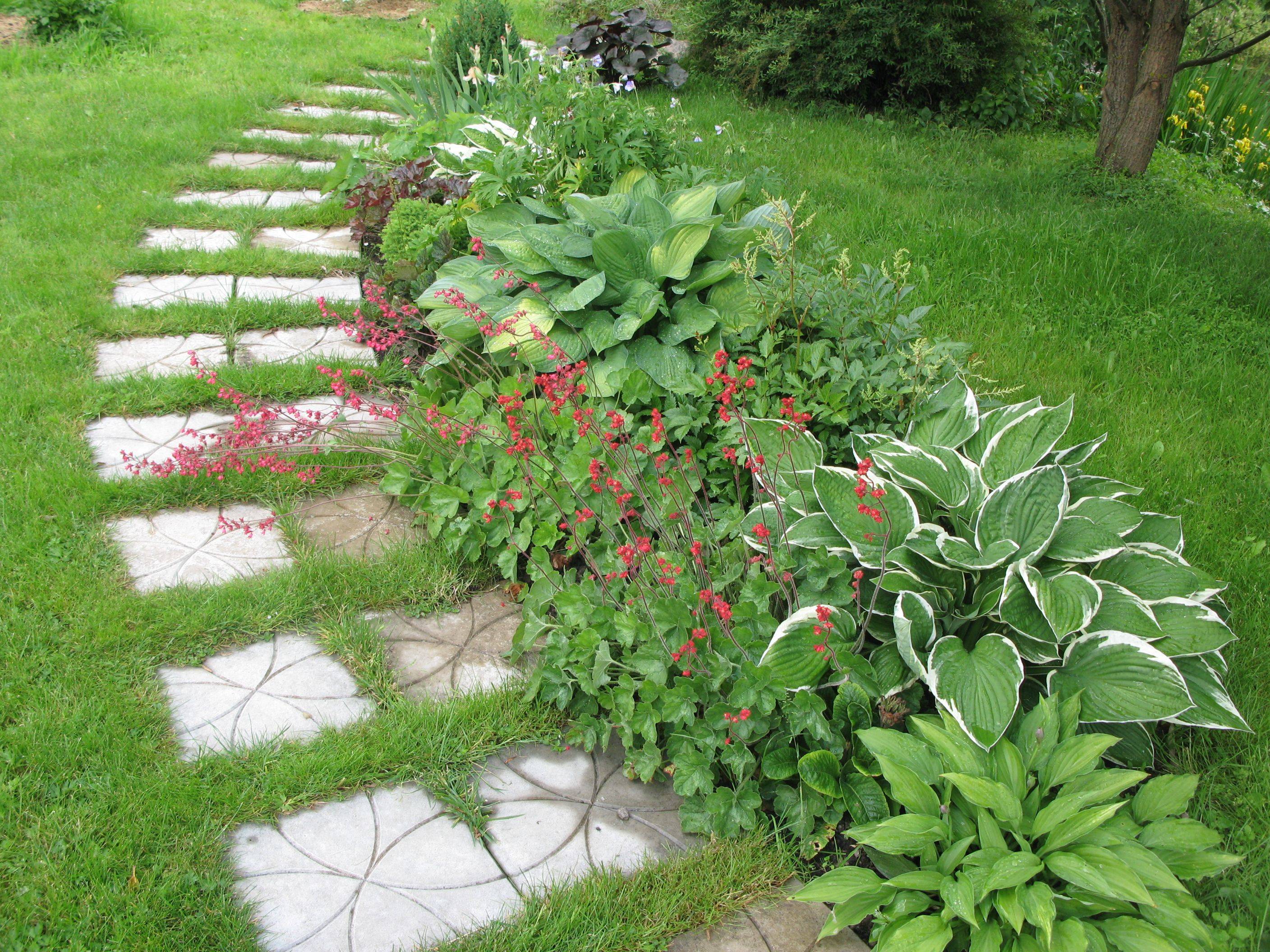 Растения в ландшафтном дизайне: правила оформления сада