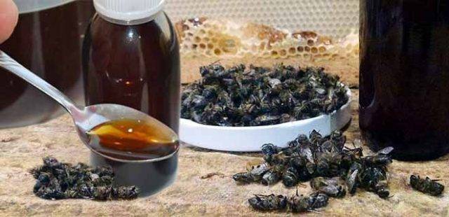 Пчелиный подмор: что это и какими лечебными свойствами обладает?