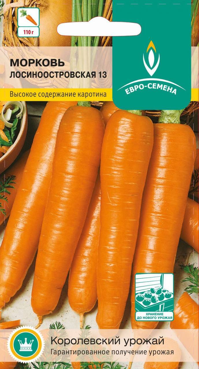 Морковь лосиноостровская 13: отзывы, выращивание, описание + фото
