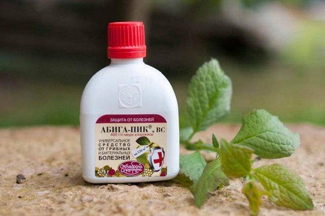 Как использовать препарат абига-пик против грибковых заболеваний растений