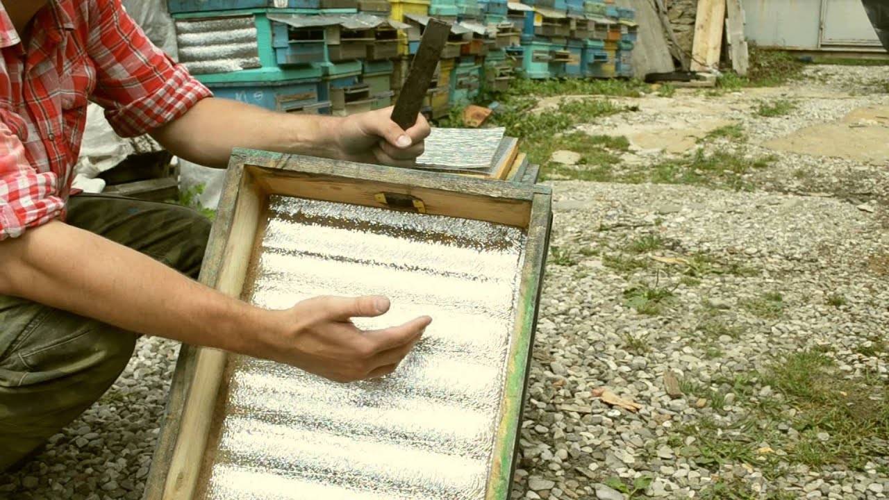 Пчеловодство как бизнес: выгодно ли заниматься пчеловодством?