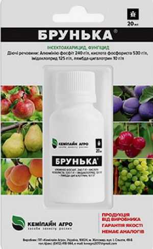 Препарат брунька: инструкция по применению и отзывы