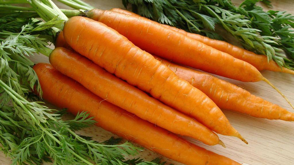 Морковь нандрин: описание и характеристика сорта, основные особенности, преимущества, недостатки, правила выращивания и урожайность