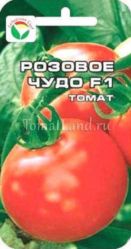 Томат новичок розовый: характеристика и описание сорта, фото, отзывы, посадка и уход